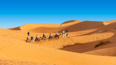 The Best Tour Companies in Morocco