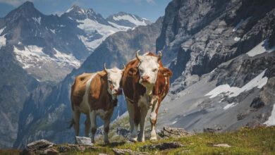 The Ultimate Switzerland Road Trip Itinerary