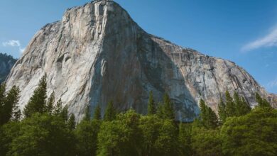 Things to do in Yosemite National Park