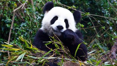 The Planet D: Adventure Travel Blog