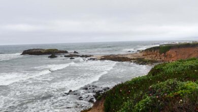 Things to do in San Mateo, California