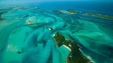 Things to do in the Exuma Cays – Dream Trip to the Bahamas