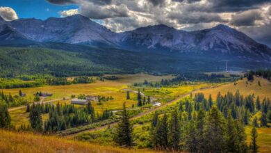 Things to do in Pincher Creek, Alberta