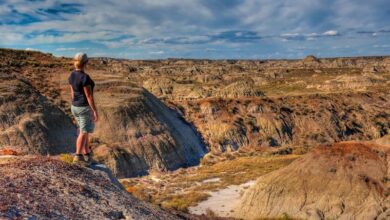 Dinosaur Provincial Park – Glamping Tour in the Alberta Badlands