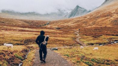 You Can’t Win If You Don’t Play