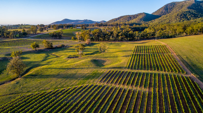 Ein Leitfaden für Weinverkostung und Touren im Hunter Valley