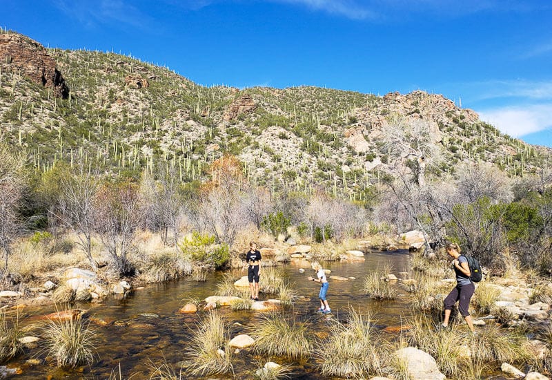 Ein Tag im Sabino Canyon Recreation Area, Tucson.