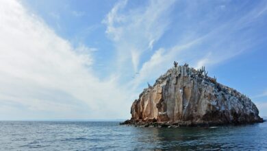 The Planet D: Adventure Travel Blog