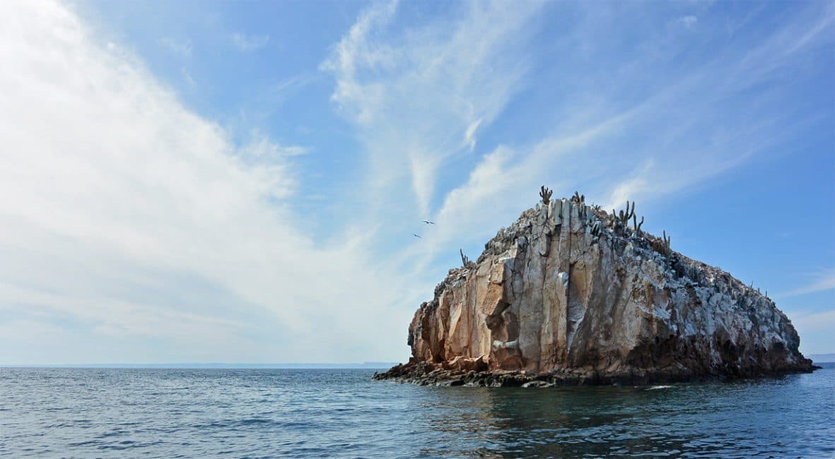 Ein unvergessliches Abenteuer auf Mexikos Isla Espíritu Santo