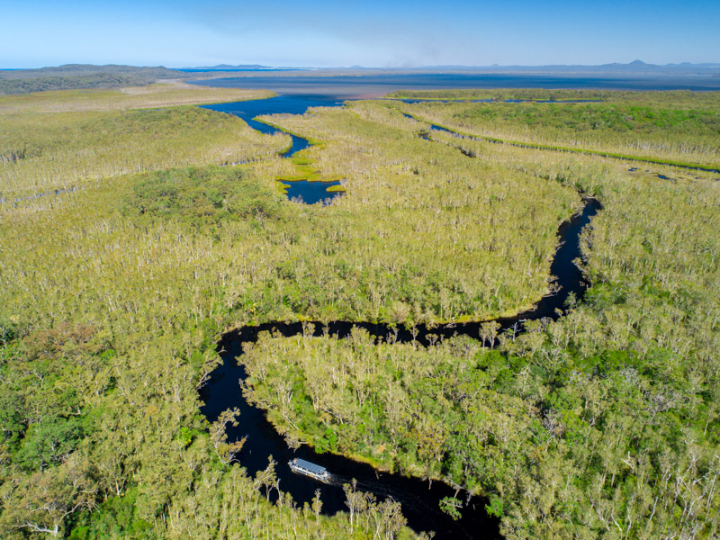 Ein vollständiger Leitfaden zum Besuch der Noosa Everglades