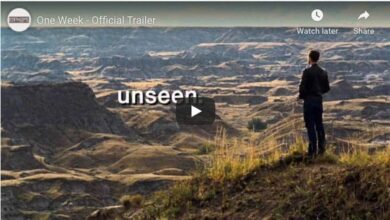 One Week – My Movie Review of This Beloved Canadian Film