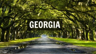 What are the best things to do in Georgia? Help us create our bucket list.