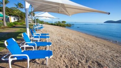 Escape To Paradise On A Daydream Island Day Trip In 2023