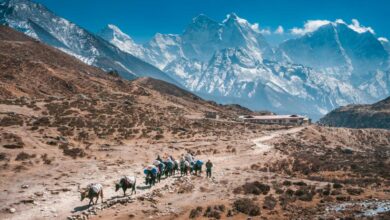 Everest Base Camp Trek – Ultimate Guide For 2023
