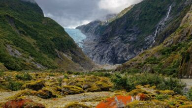 Franz Josef Travel Guide
