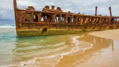 Fraser Island Day Trip: The Best Way To See K’Gari in 1 Day
