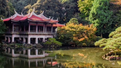 Japan Travel Guide