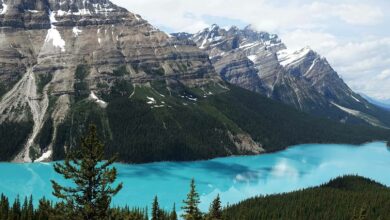 Canada Travel Guide