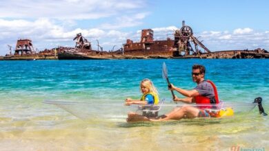 people in clear Kayak next to ship wrecks