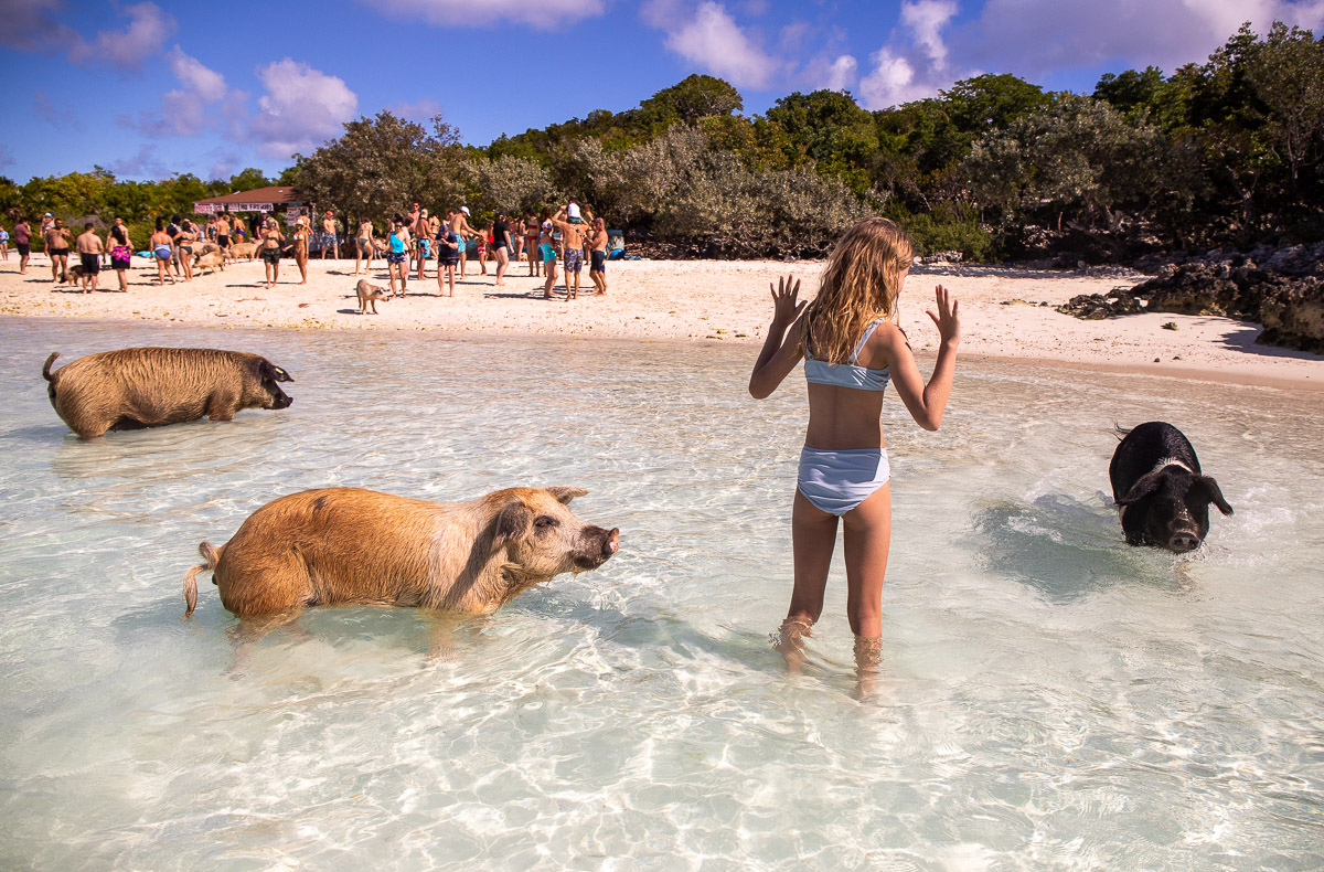 leitfaden-zum-schwimmen-mit-schweinen-exuma-inseln-bahamas