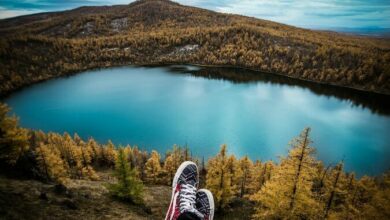 Learning to Go with the Flow When You Travel