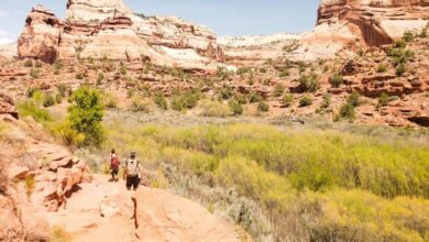 lower calf creek falls grand staircase escalante national monument utah (3)