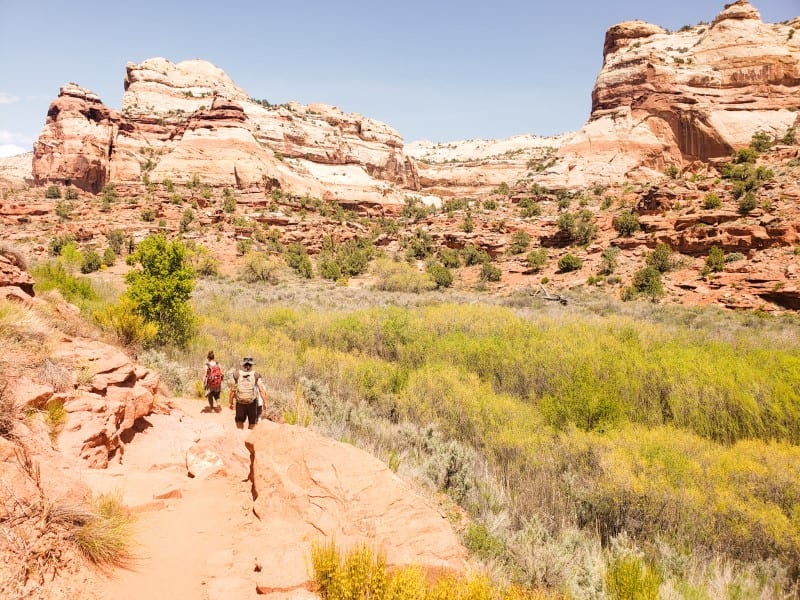 Lower Calf Creek Falls: Eine außergewöhnliche Wanderung in Utah, die man nicht verpassen sollte.