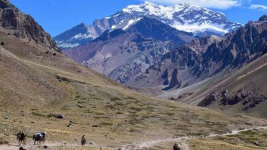 Mendoza Travel Guide
