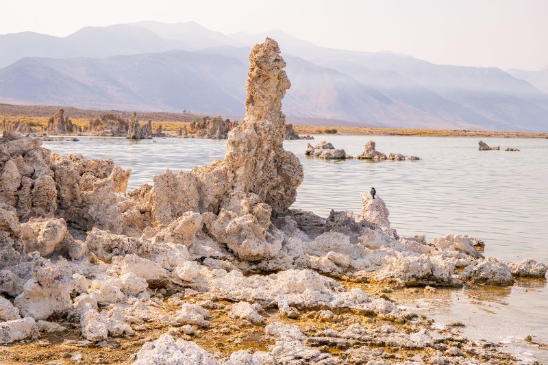 Mono Lake California: Ein alter “Toter Meer” in der Nähe von Yosemite