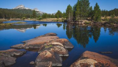 United States National Parks in Photos