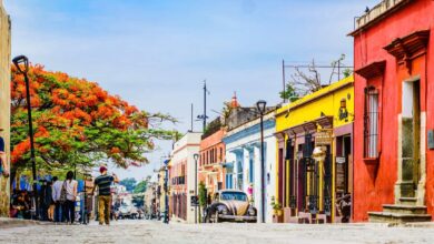 Oaxaca Travel Guide