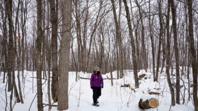 Ottawa Attractions – 20 Winter Activities to Embrace the Snow