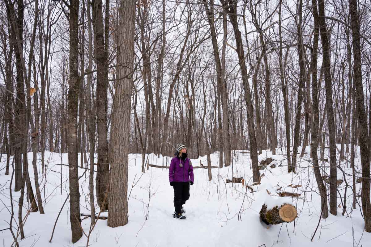 Ottawa Sehenswürdigkeiten – 20 Winteraktivitäten zum Genießen des Schnees