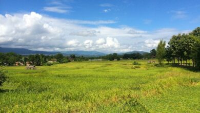 Pai: Thailand’s Mountain Backpacker Paradise (or Hell?)