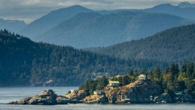 a view of the lush nature and forests of Vancouver Island, Canada