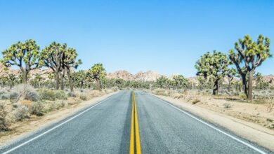 road in the desert