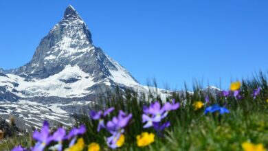Switzerland Travel Guide