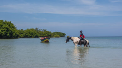 The Planet D: Adventure Travel Blog