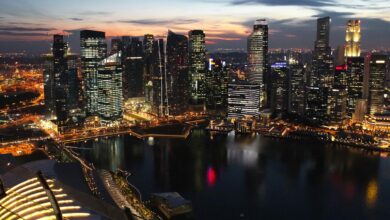 Singapore Travel Guide