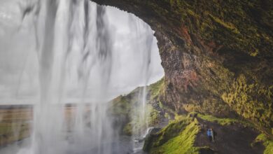 Fun and Interesting Facts About Iceland