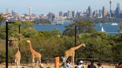 Taronga Zoo Sydney
