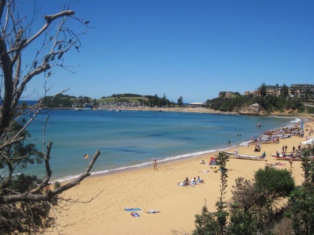 Terrigal Beach, NSW Australien – Dinge zu tun und zu sehen.