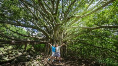 Top 12 Hikes in Maui to Take your Breath Away