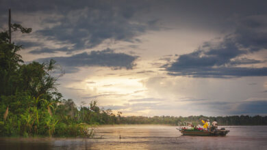 Surprising and Fun Facts About the Amazon River