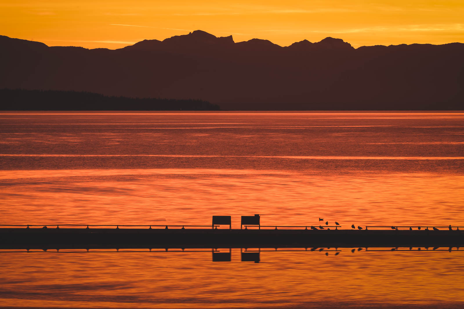 Ultimative Dinge, die man bei einem Road Trip an der Sunshine Coast tun kann.