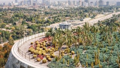 Getty Museum gardens with LA syline in the background