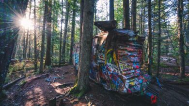 Vancouver to Whistler – Best of the Sea to Sky Highway