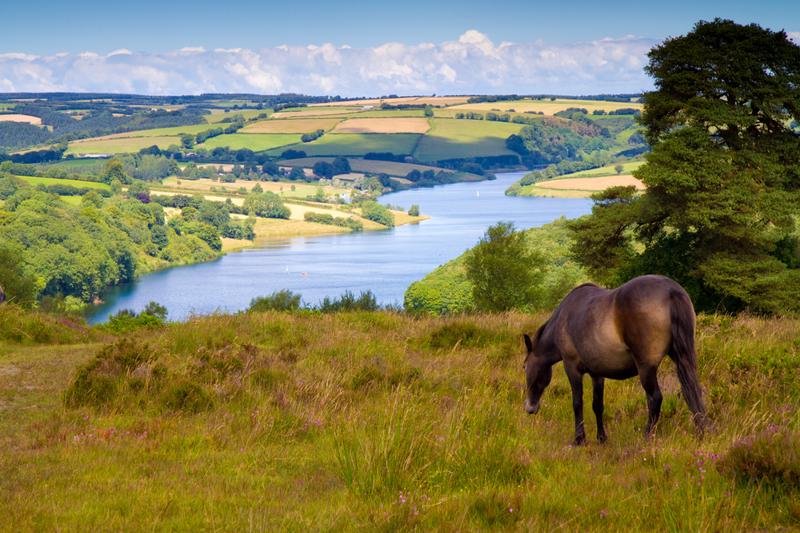 Wanderung zu den Tarr Steps im Exmoor-Nationalpark, England
