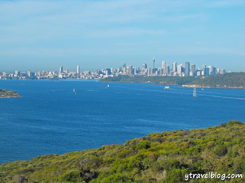 Warnung: Der Hafen von Sydney ist voller Haie.