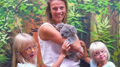 Cuddle a Koala - Dreamworld, Gold Coast, Australia